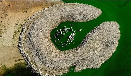 Spain’s 7,000-Year-Old Megalithic Monument Emerges from Drought: A Prehistoric Wonder Resurfaces